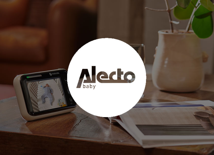 Alecto Alecto